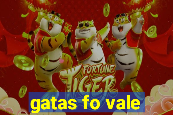 gatas fo vale